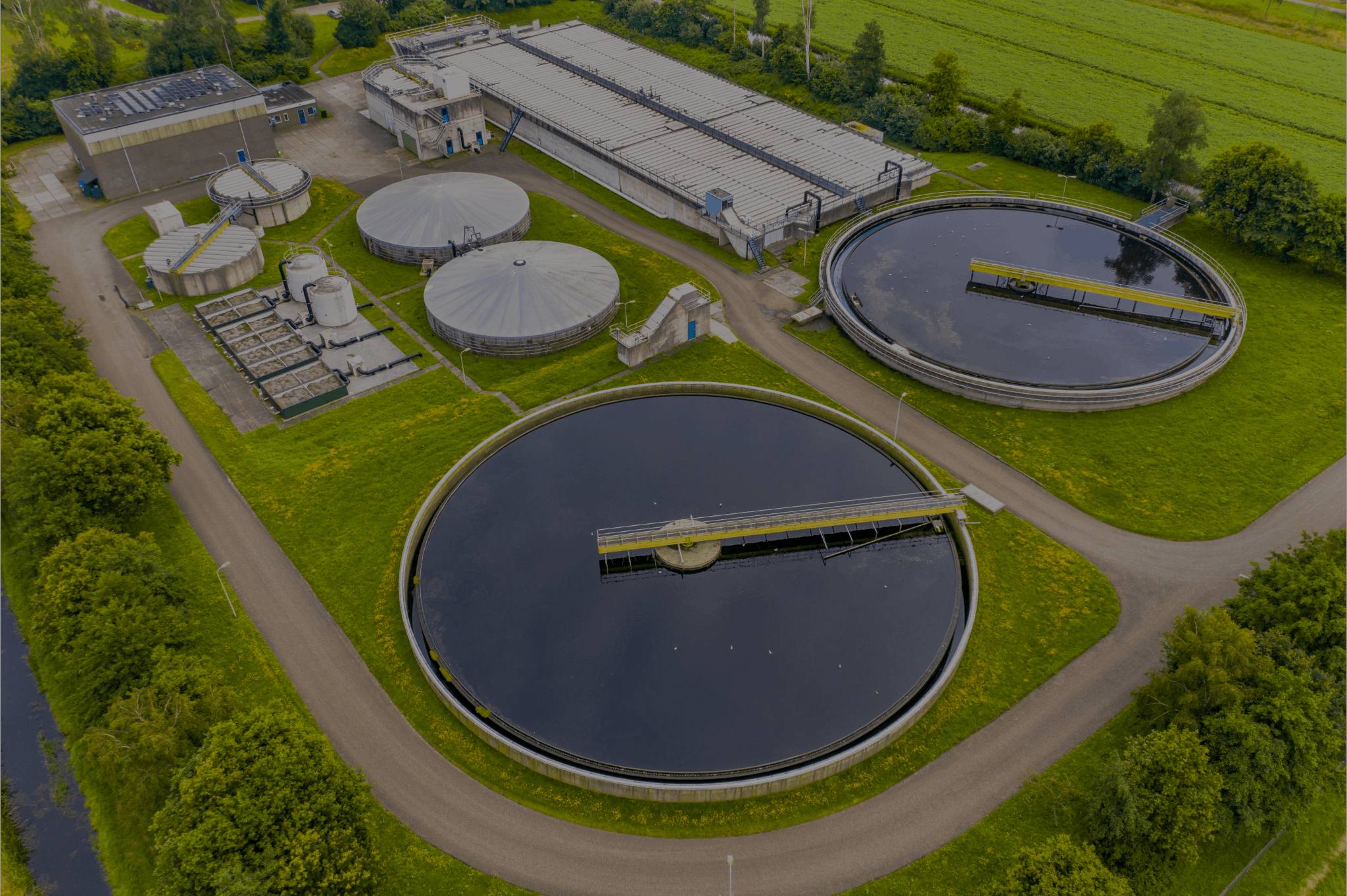 Untitled design 1 (1)